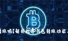 数字钱包能转账吗？解析