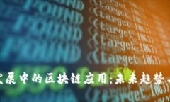 探索发展中的区块链应用