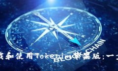 如何下载和使用Tokenim苹果