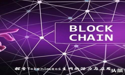 探索Tokenimeos主网的潜力与应用