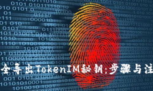 如何安全导出TokenIM秘钥：步骤与注意事项