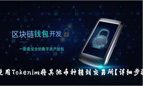 如何使用Tokenim将其他币种转到交易所？详细步骤解析