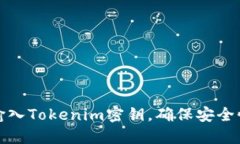 如何正确输入Tokenim密钥，