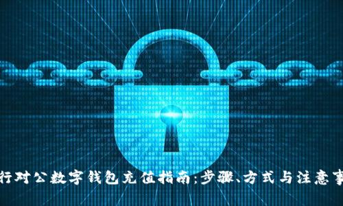 建行对公数字钱包充值指南：步骤、方式与注意事项