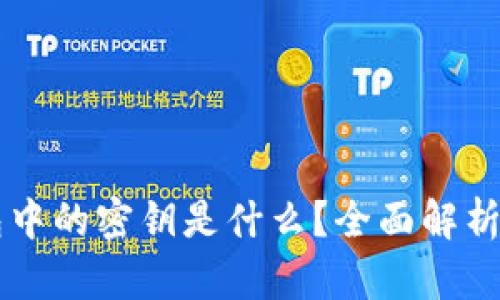 区块链钱包中的密钥是什么？全面解析及使用指南