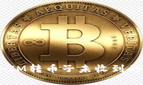 尾部

如何解决TokenIM转币子未收到的问题：详尽指南