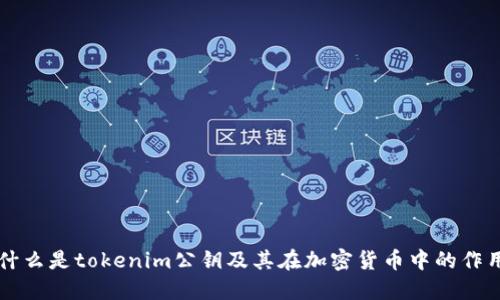 什么是tokenim公钥及其在加密货币中的作用