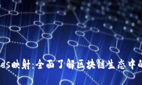 Tokenimeos映射：全面了解区块链生态中的映射技术