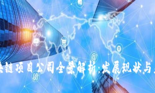 重庆区块链项目公司全景解析：发展现状与未来趋势