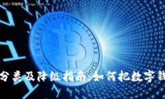 : 数字钱包分类及降级指南