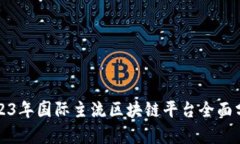 2023年国际主流区块链平台