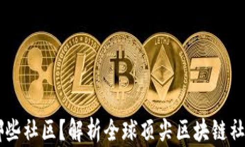 
区块链有哪些社区？解析全球顶尖区块链社群及其特色