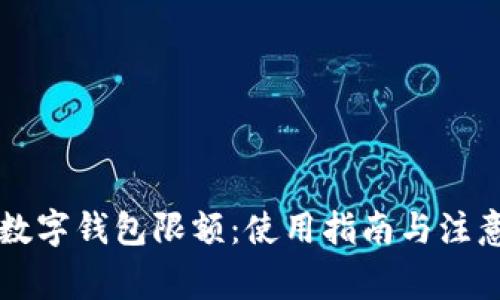 美团数字钱包限额：使用指南与注意事项