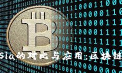 Tokenim与Sia的对比与应用：