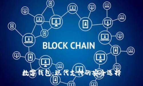 数字钱包：现代支付的安全选择