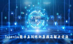 Tokenim转币未到账的原因及