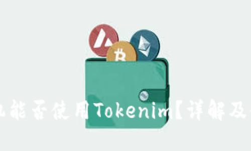苹果手机能否使用Tokenim？详解及使用指南