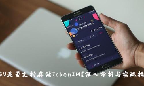 BSV是否支持存储TokenIM？深入分析与实现指南