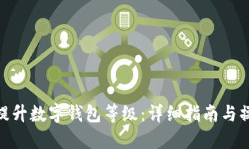 : 如何提升数字钱包等级：详细指南与操作步骤