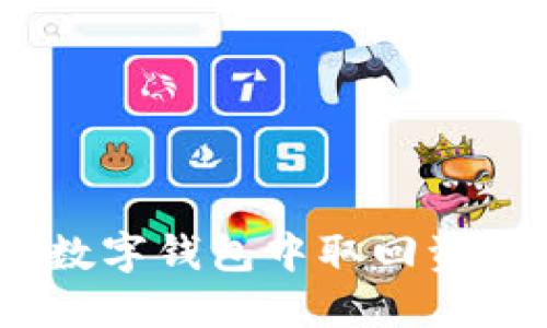 如何从REG数字钱包中取回资产：全面指南
