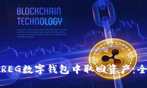 如何从REG数字钱包中取回资产：全面指南
