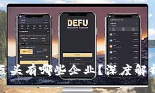 区块链公司巨头有哪些企业？深度解析及行业现状
