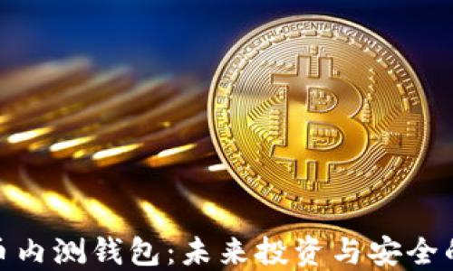 
数字货币内测钱包：未来投资与安全的新选择