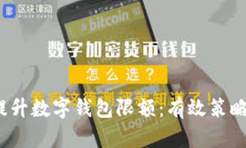 如何提升数字钱包限额：有效策略与建议
