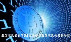 数字钱包能否下款？全面