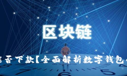数字钱包能否下款？全面解析数字钱包的借款功能