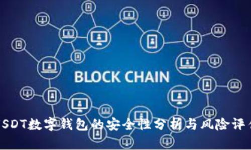 USDT数字钱包的安全性分析与风险评估
