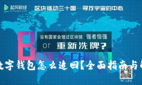 被诈骗数字钱包怎么追回？全面指南与解决方案