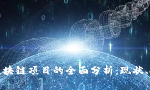 政府推进区块链项目的全面分析：现状、挑战与未来