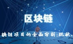 政府推进区块链项目的全