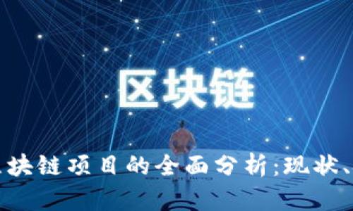 政府推进区块链项目的全面分析：现状、挑战与未来