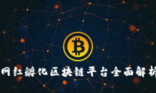 网红孵化区块链平台全面解析