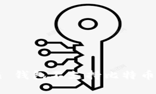 为什么 ImToken 钱包不支持比特币？解析与替代方案