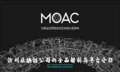 沧州区块链公司的全面解