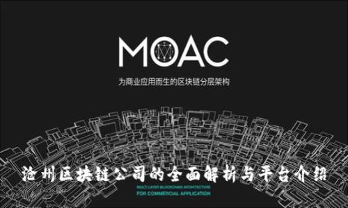 沧州区块链公司的全面解析与平台介绍