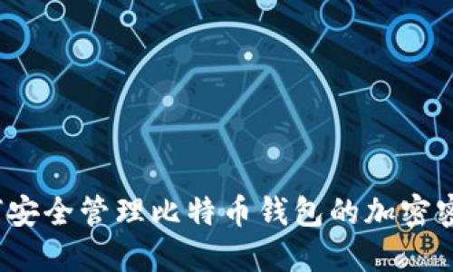 如何安全管理比特币钱包的加密密码？