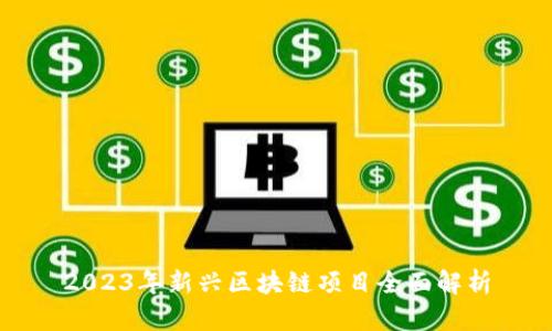 2023年新兴区块链项目全面解析