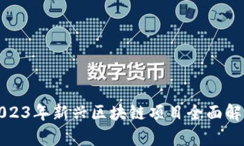 2023年新兴区块链项目全面解析