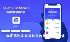 数字钱包逾期后如何处理