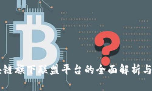 区块链旗下联盟平台的全面解析与应用