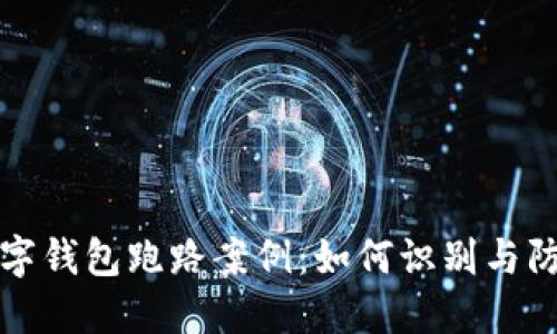 数字钱包跑路案例：如何识别与防范
