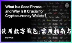 如何正确使用数字钱包：