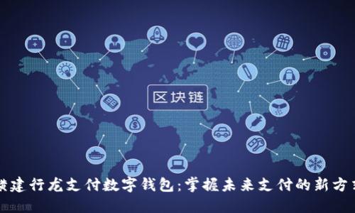 横建行龙支付数字钱包：掌握未来支付的新方式