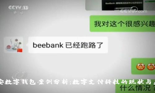 南安数字钱包案例分析：数字支付科技的现状与未来
