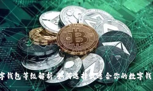 数字钱包等级解析：如何选择最适合你的数字钱包？