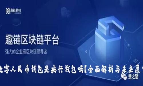 数字人民币钱包是央行钱包吗？全面解析与未来展望